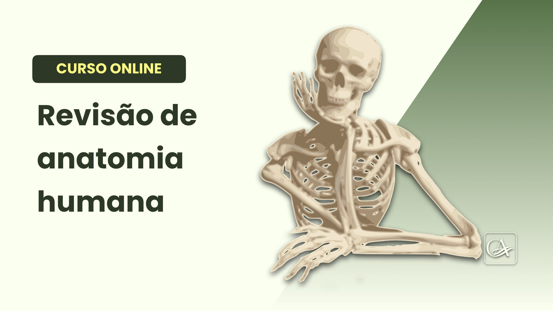 Anatomia Humana